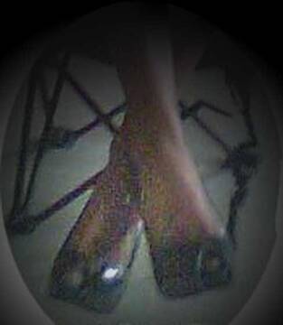 _______________PIEDI____________________