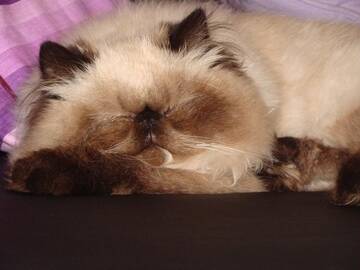 Foto publica di ilbruttoanatroccolo