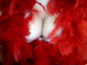 Public Photo of chantal_23