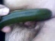 con la zucchina parte 2